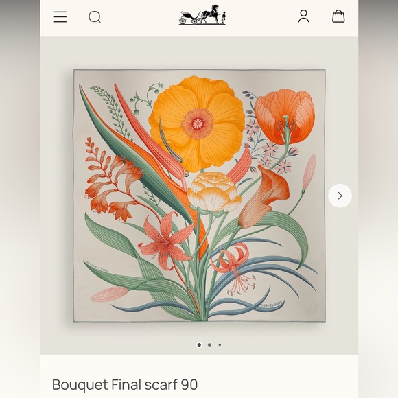 HERMES BOUQUET FINAL SILK TWILL SCARF 90 Gris Cendre / Orange / Vert - Picture 5 of 10